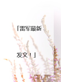 雷军最新发文！