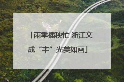 雨季插秧忙 浙江文成“丰”光美如画
