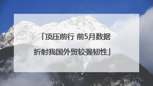 顶压前行 前5月数据折射我国外贸较强韧性