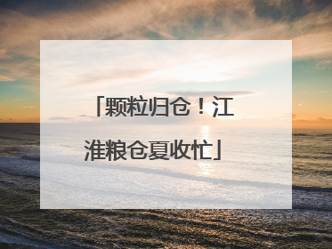 颗粒归仓！江淮粮仓夏收忙