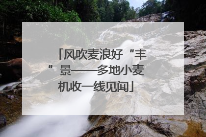 风吹麦浪好“丰”景——多地小麦机收一线见闻