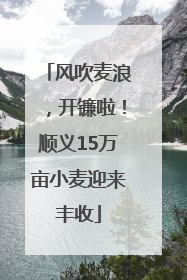 风吹麦浪，开镰啦！顺义15万亩小麦迎来丰收