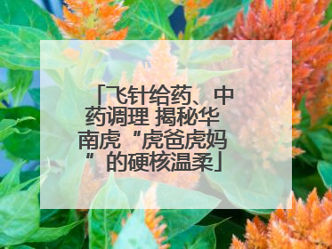 飞针给药、中药调理 揭秘华南虎“虎爸虎妈”的硬核温柔