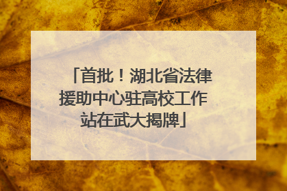 首批！湖北省法律援助中心驻高校工作站在武大揭牌