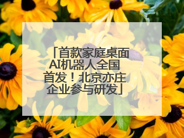 首款家庭桌面AI机器人全国首发！北京亦庄企业参与研发