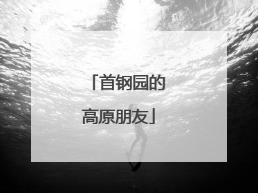 首钢园的高原朋友