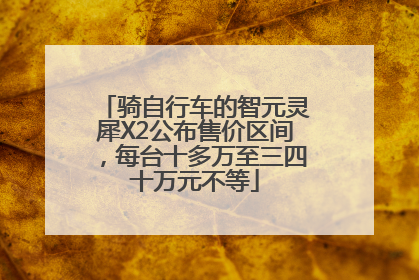 骑自行车的智元灵犀X2公布售价区间，每台十多万至三四十万元不等