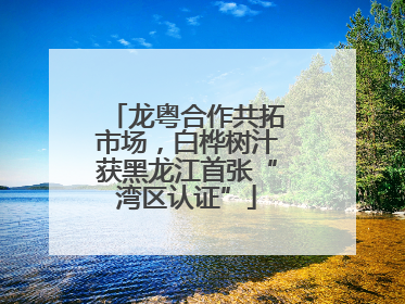龙粤合作共拓市场，白桦树汁获黑龙江首张“湾区认证”