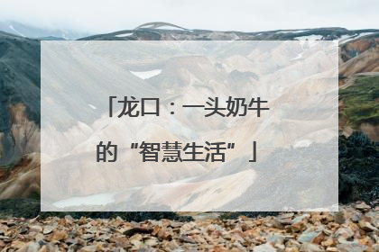龙口：一头奶牛的“智慧生活”