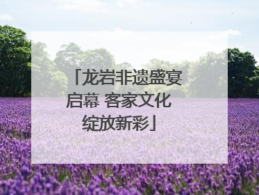 龙岩非遗盛宴启幕 客家文化绽放新彩