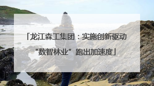 龙江森工集团：实施创新驱动 “数智林业”跑出加速度