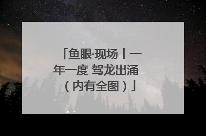 鱼眼·现场丨一年一度 驾龙出涌（内有全图）
