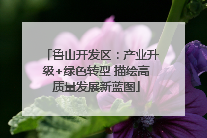 鲁山开发区：产业升级+绿色转型 描绘高质量发展新蓝图