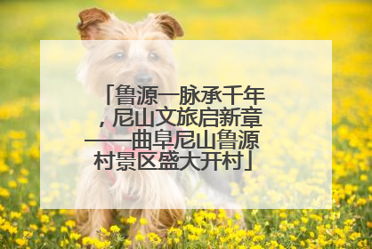 鲁源一脉承千年，尼山文旅启新章——曲阜尼山鲁源村景区盛大开村