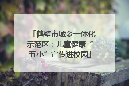 鹤壁市城乡一体化示范区：儿童健康“五小”宣传进校园