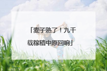 麦子熟了！九千载稼穑中原回响