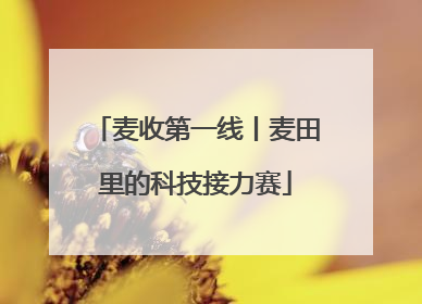 麦收第一线丨麦田里的科技接力赛