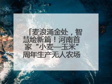 麦浪涌金处，智慧绘新篇！河南首家“小麦—玉米”周年生产无人农场喜迎丰收