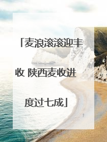 麦浪滚滚迎丰收 陕西麦收进度过七成