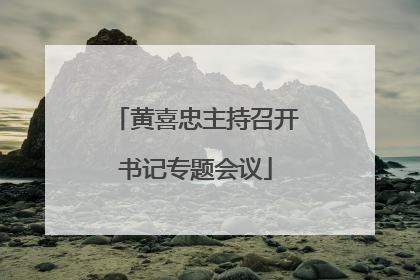 黄喜忠主持召开书记专题会议