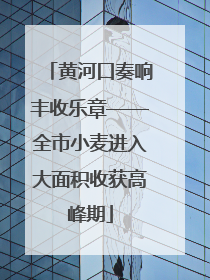 黄河口奏响丰收乐章——全市小麦进入大面积收获高峰期