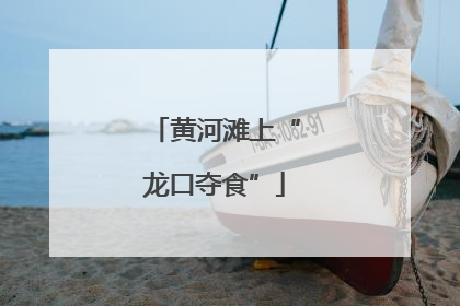 黄河滩上“龙口夺食”