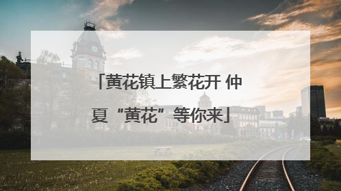 黄花镇上繁花开 仲夏“黄花”等你来