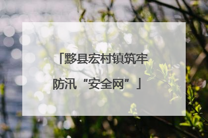 黟县宏村镇筑牢防汛“安全网”