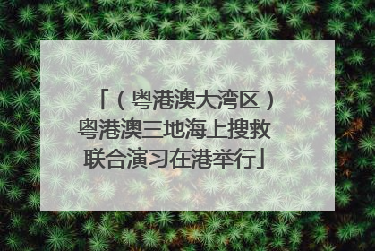 （粤港澳大湾区）粤港澳三地海上搜救联合演习在港举行