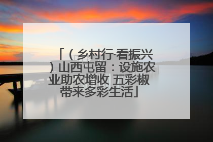 （乡村行·看振兴）山西屯留：设施农业助农增收 五彩椒带来多彩生活