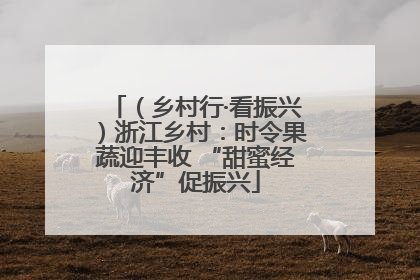 （乡村行·看振兴）浙江乡村：时令果蔬迎丰收 “甜蜜经济”促振兴