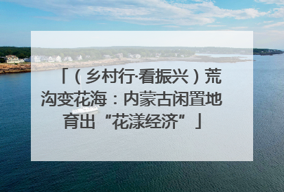 （乡村行·看振兴）荒沟变花海：内蒙古闲置地育出“花漾经济”