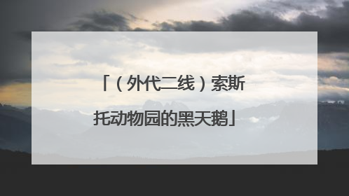 （外代二线）索斯托动物园的黑天鹅