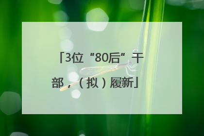 3位“80后”干部，（拟）履新