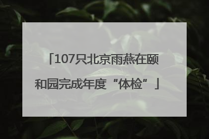 107只北京雨燕在颐和园完成年度“体检”