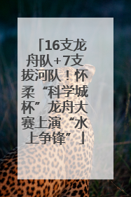 16支龙舟队+7支拔河队！怀柔“科学城杯”龙舟大赛上演“水上争锋”