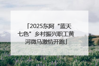 2025东阿“蓝天七色”乡村振兴职工黄河微马激情开跑