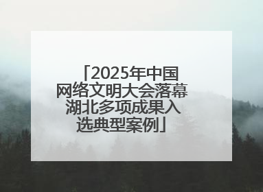 2025年中国网络文明大会落幕 湖北多项成果入选典型案例