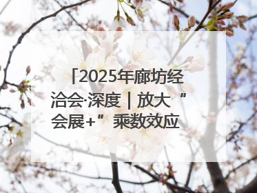 2025年廊坊经洽会·深度｜放大“会展+”乘数效应 打造消费新场景