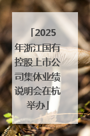 2025年浙江国有控股上市公司集体业绩说明会在杭举办