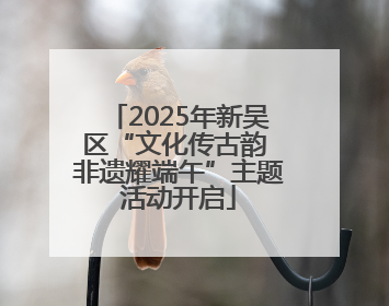 2025年新吴区“文化传古韵 非遗耀端午”主题活动开启