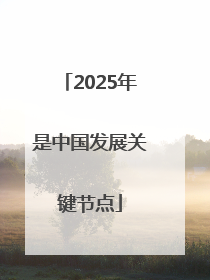 2025年是中国发展关键节点