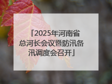 2025年河南省总河长会议暨防汛备汛调度会召开