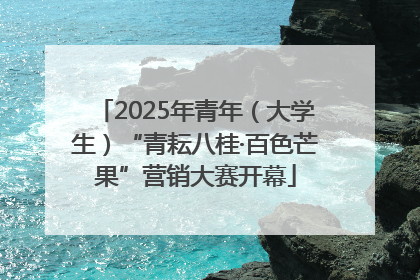 2025年青年（大学生）“青耘八桂·百色芒果”营销大赛开幕