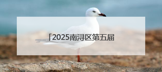 2025南浔区第五届运动会暨第七届南浔古镇桨板公开赛正式开赛！
