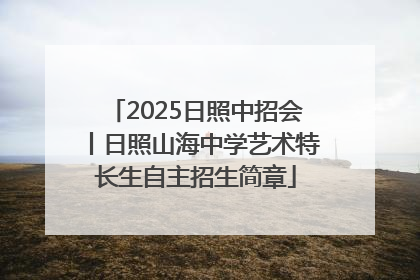 2025日照中招会丨日照山海中学艺术特长生自主招生简章