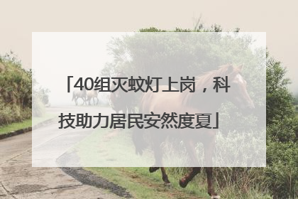 40组灭蚊灯上岗，科技助力居民安然度夏