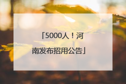 5000人！河南发布招用公告