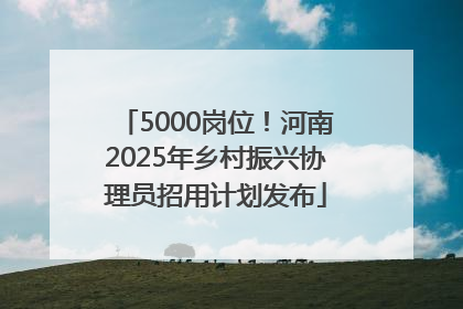5000岗位！河南2025年乡村振兴协理员招用计划发布