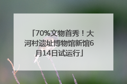 70%文物首秀！大河村遗址博物馆新馆6月14日试运行